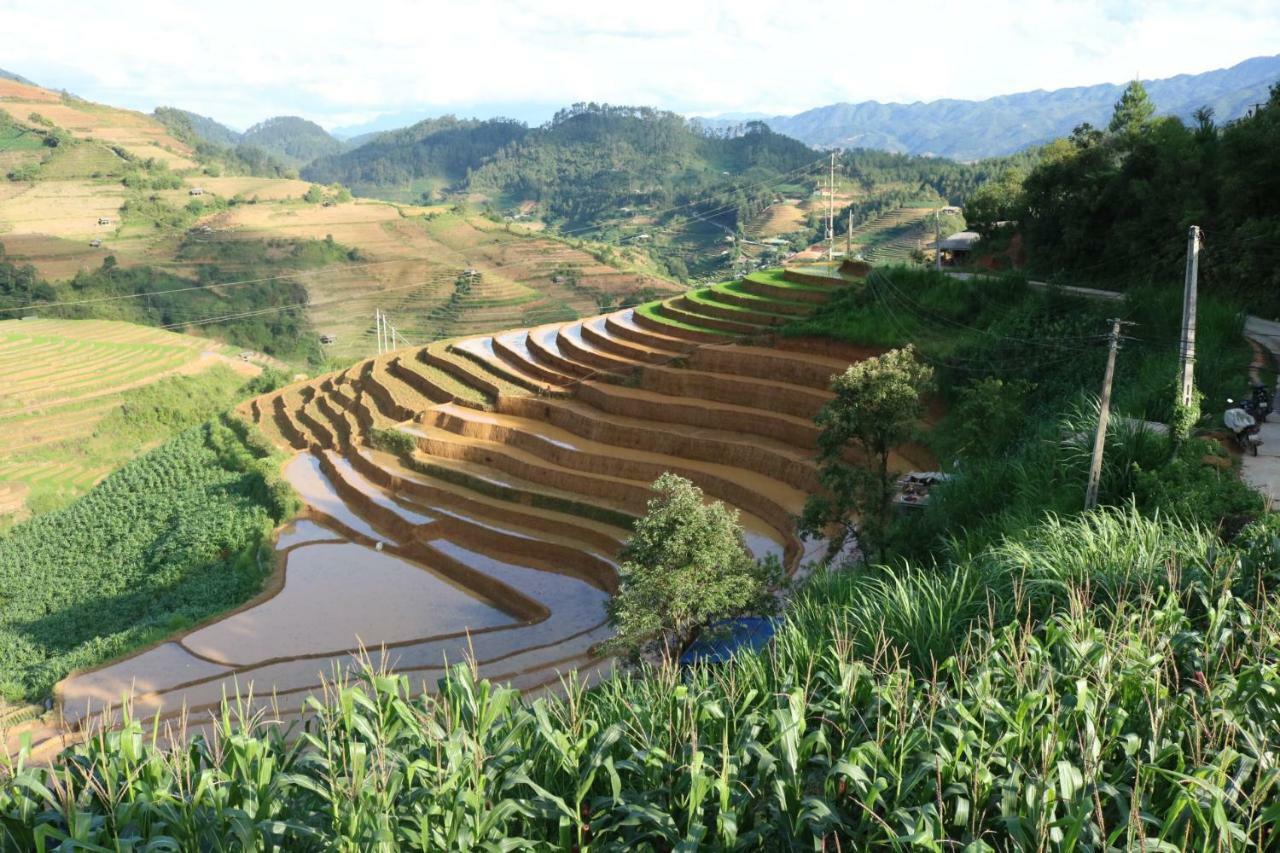 Do Gu Homestay Mu Cang Chai Exteriör bild