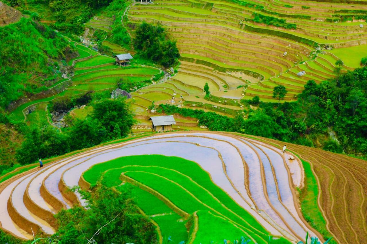 Do Gu Homestay Mu Cang Chai Exteriör bild