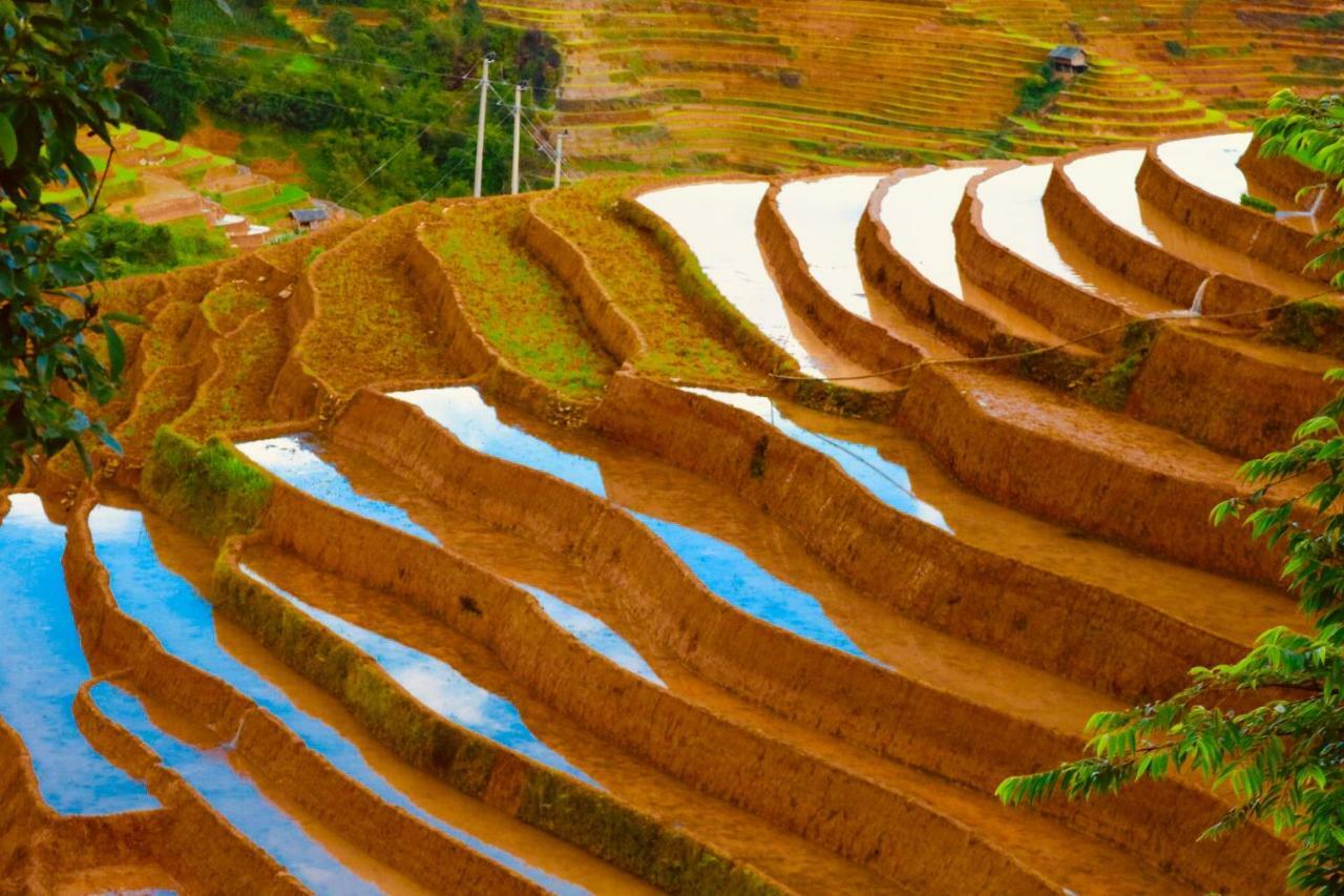 Do Gu Homestay Mu Cang Chai Exteriör bild