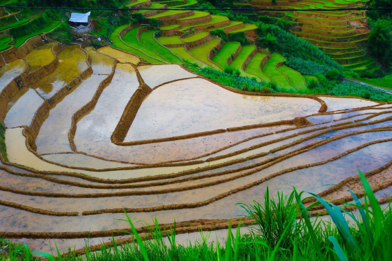 Do Gu Homestay Mu Cang Chai Exteriör bild