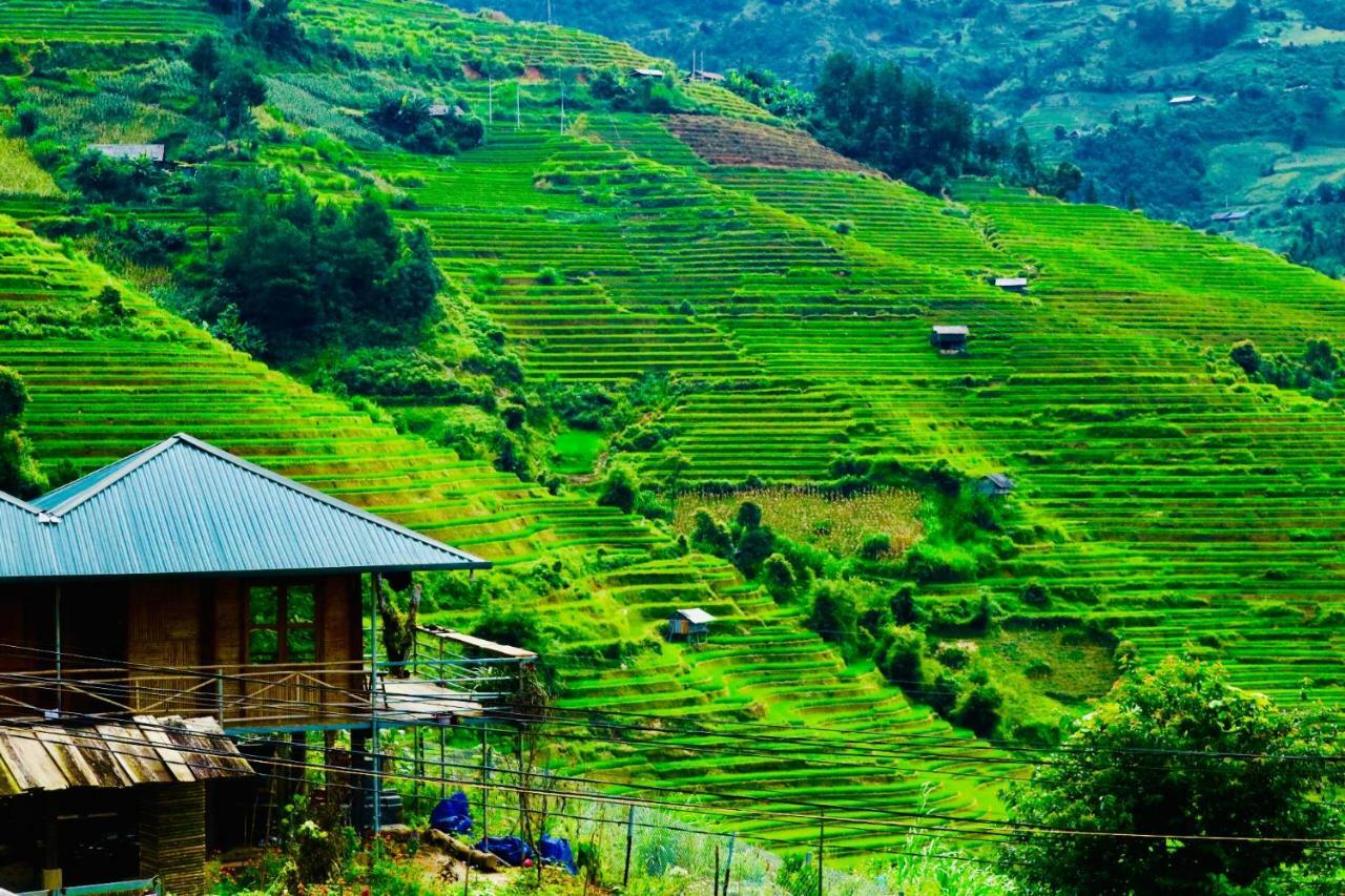 Do Gu Homestay Mu Cang Chai Exteriör bild